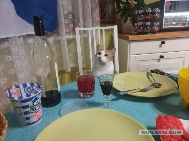 Это не пельмени.