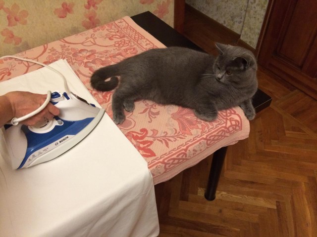 Шарик