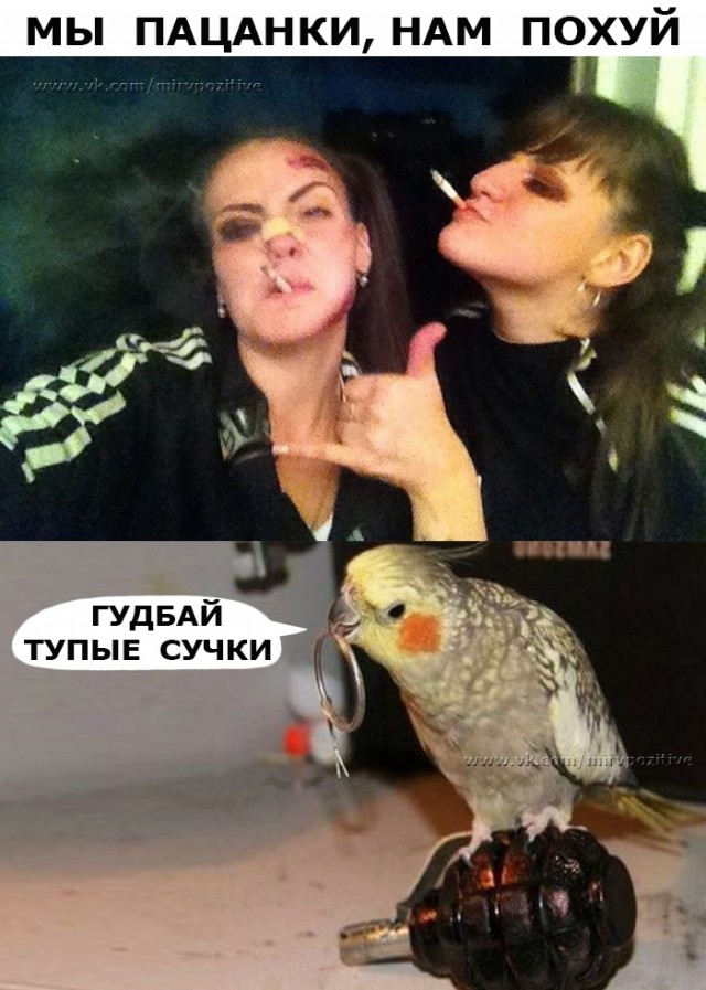 Картинки для улыбнуться