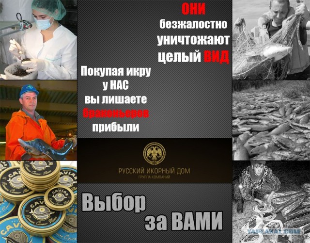 Конкурс на лучшую фотожабу против браконьеров.