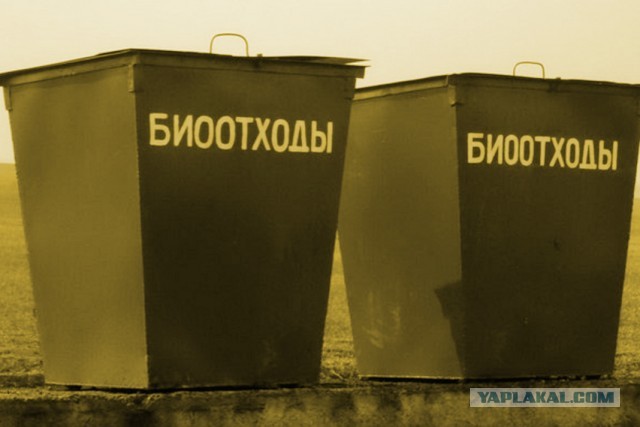 Кино в Светлогорске