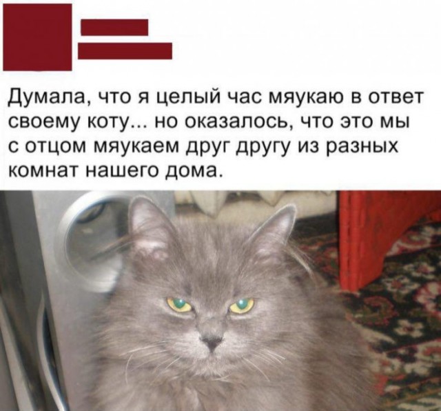 Весёлые картинки 18.01.20