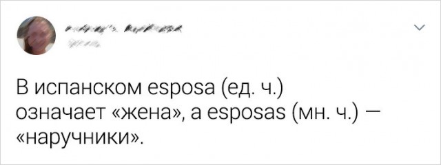 Немного фактов о разных языках мира