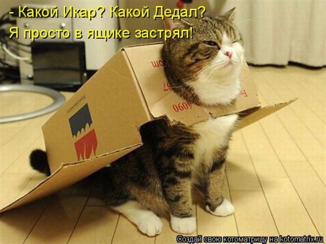 Картинки разные 08.10.2020