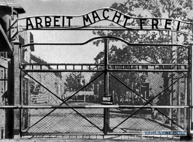 Собянин попросил жителей Москвы продержаться несколько месяцев до вакцинации