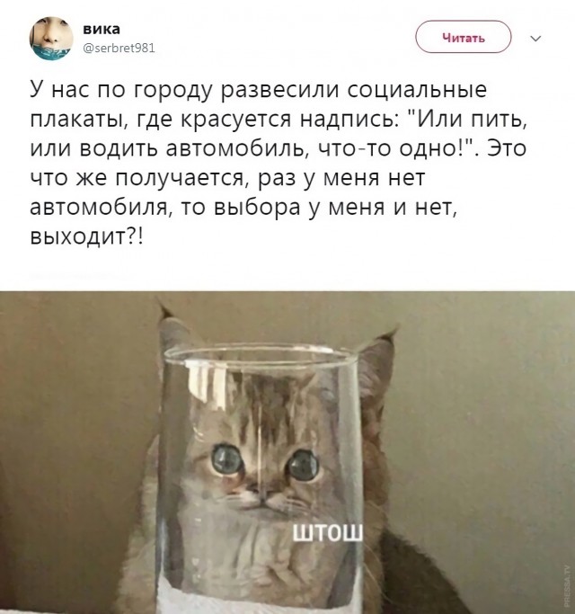Картинки и мемы для настроения 014