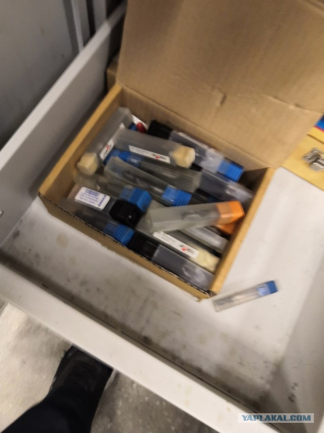 Работать за идею