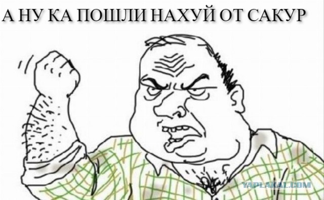 «Лежат под кустом полуголые девушки, это наглость!»: Ботанический сад Петербурга ищет волонтеров для защиты от эросъемок у сакур