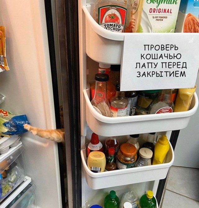 Актуальные анекдоты на сегодняшней день