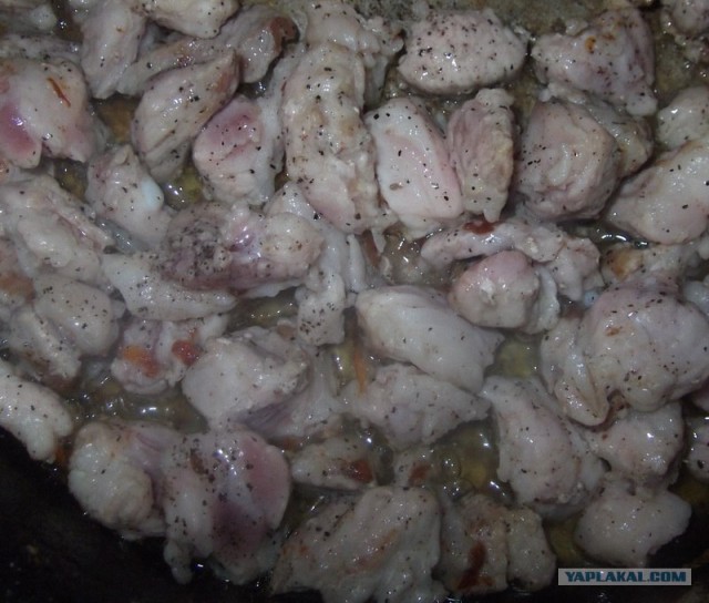 Фасоль – International, Или «Веселые нотки»