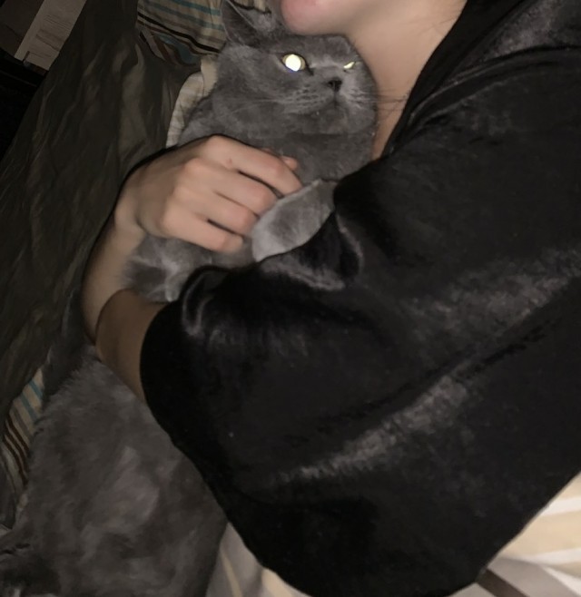 Котовторнику быть