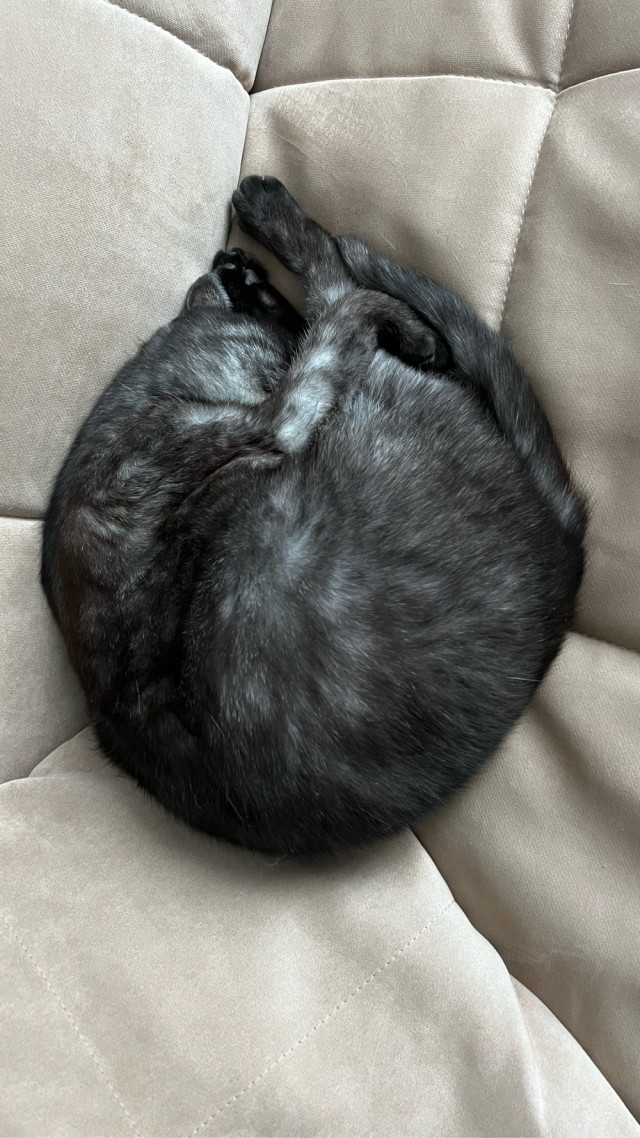 Котовторниковское