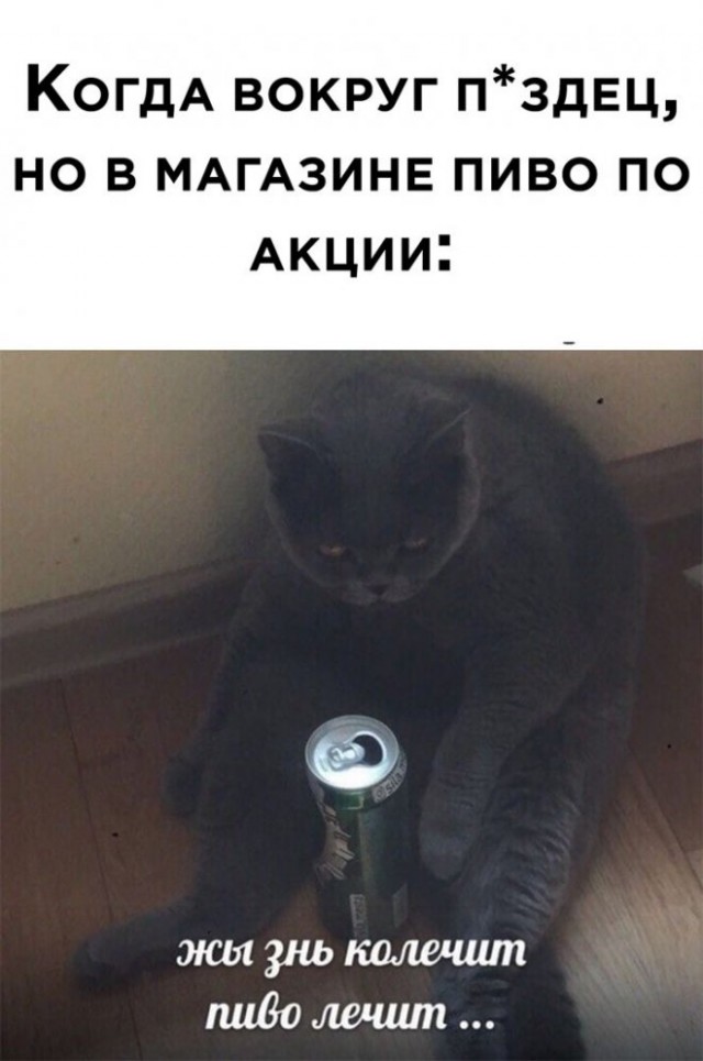 Картинки и мемы, всем отличных выходных