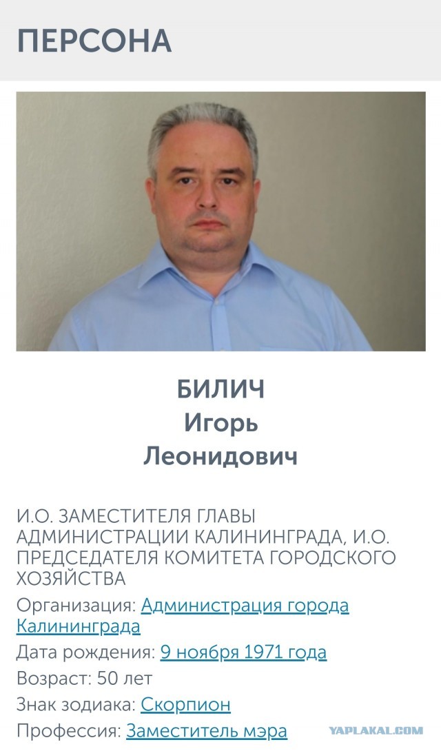 Зам мера Калининграда считает РФ фашисткой и неблагополучной