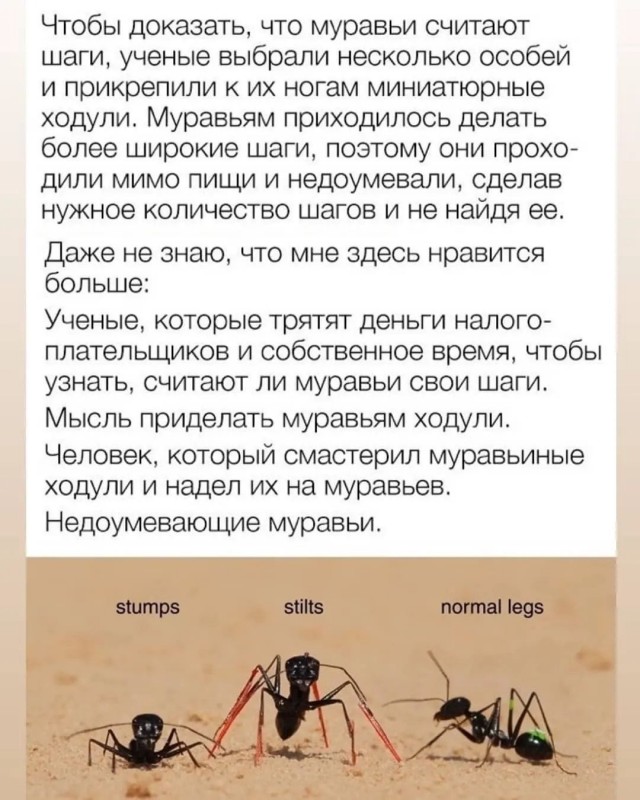 Так себе картинки 21.04.22
