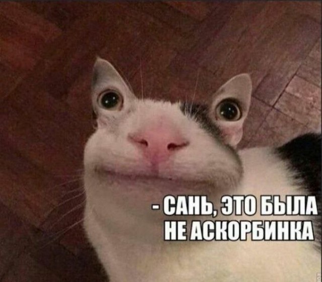 Так себе картинки 31.05.22
