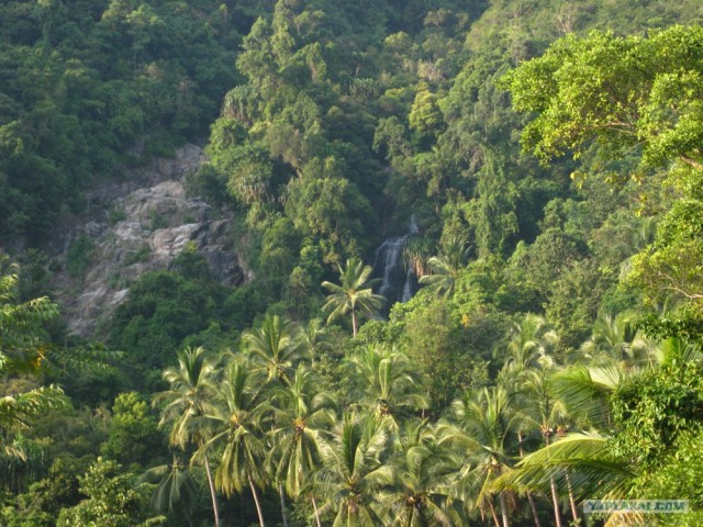 Такой разный остров Самуи