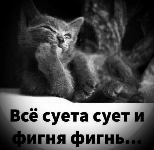 Немного картинок для настроения - 117