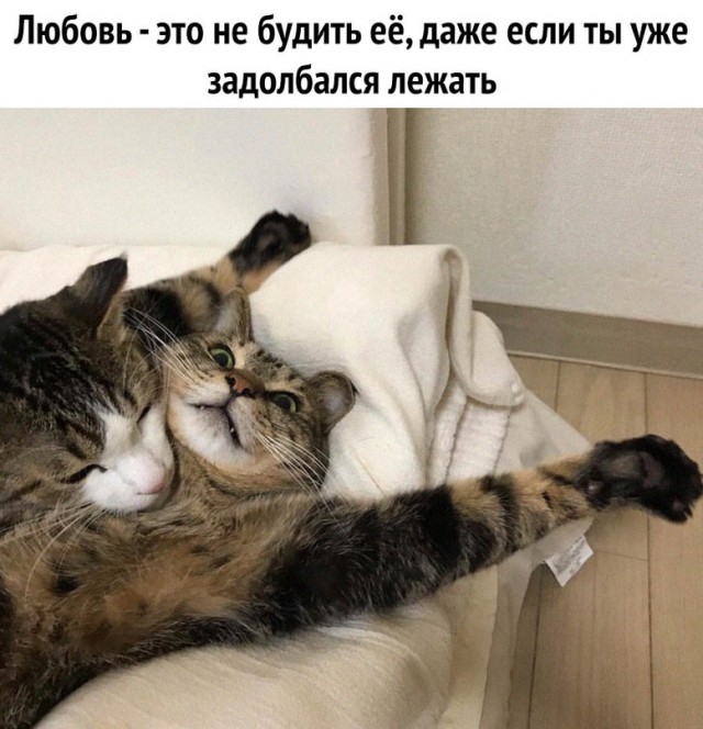 Картинки и мемы, всем хороших выходных