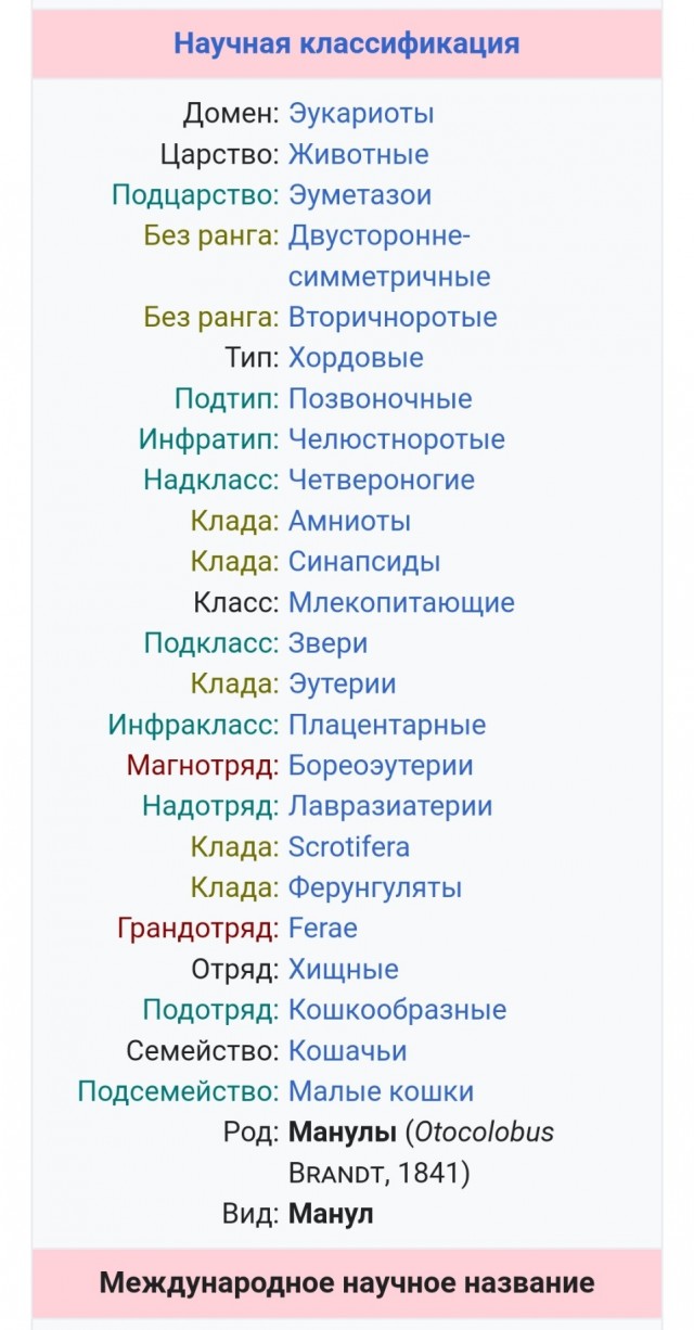 Любители одиночества