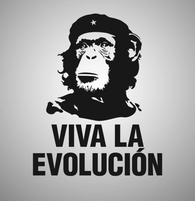 Нуштош 18.05.2023