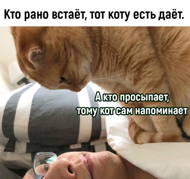 Недопятница 4.10.23