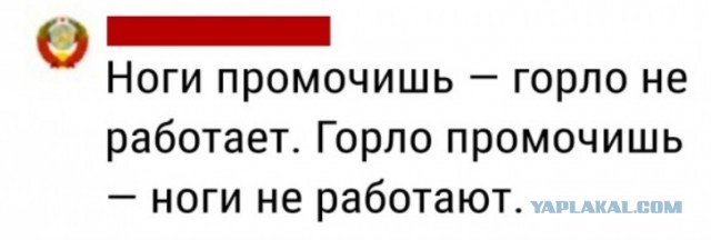 Так себе картинки 09.10.23