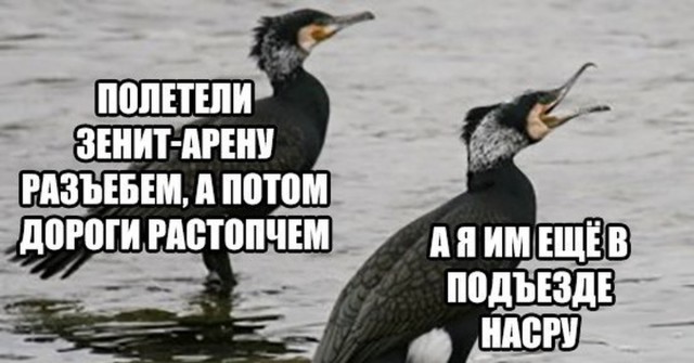 В Новосибирской обл. бобры настроили плотин, изменили направление реки, утопили экскаватор и оставили без электричества 2 села