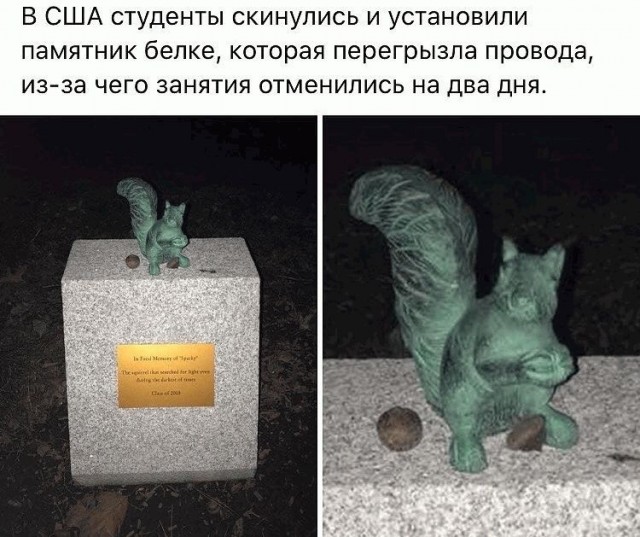 Недопятница 09-11-2023