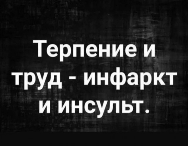 Перлы 04.02.24