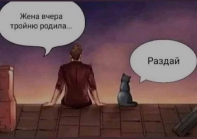 "Невыносимая радость материнства": мамы кошки, уставшие от котят