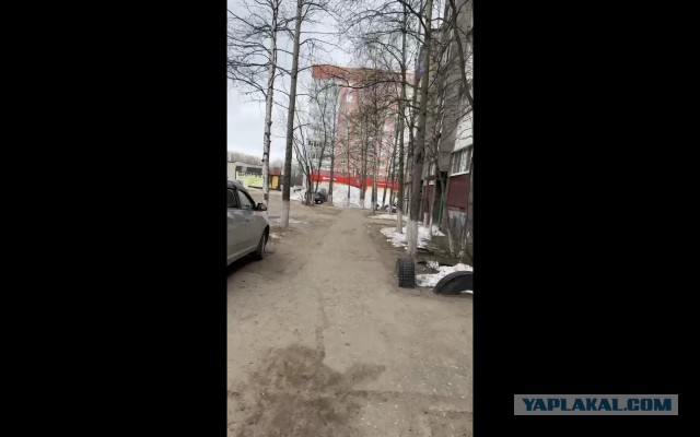 На пороге пекла: лето 2024 обещает быть адски жарким