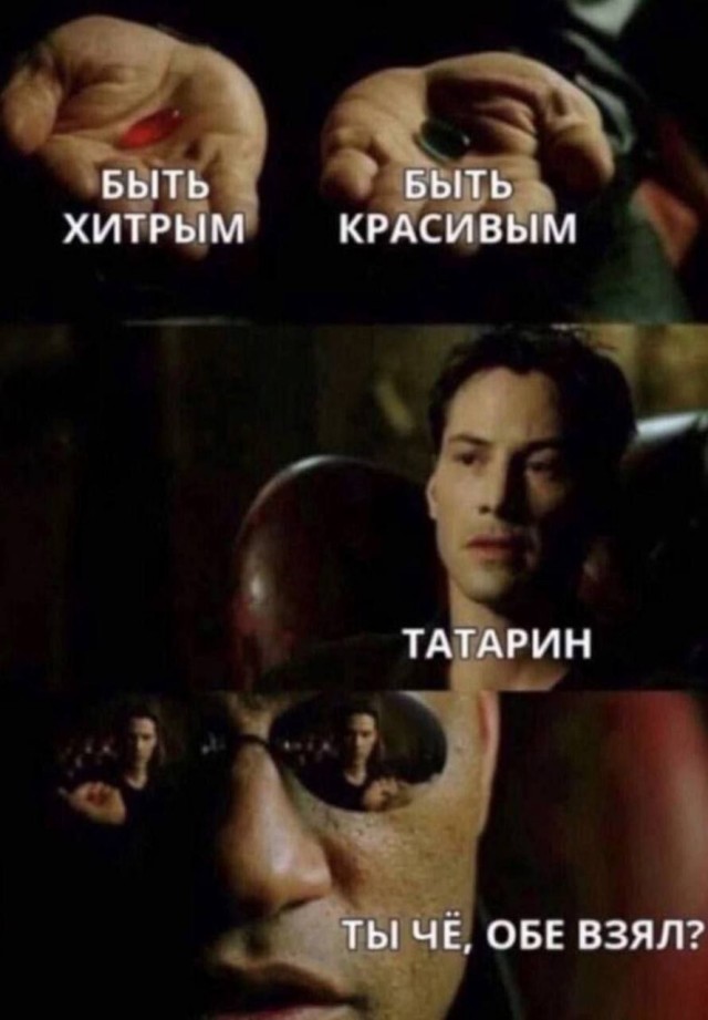 Восстание машин отменяется: татары научились приручать робопсов