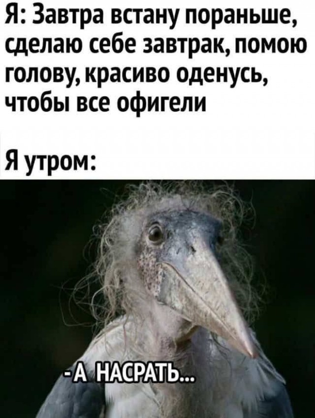 Всего понемногу. От 26.08.24