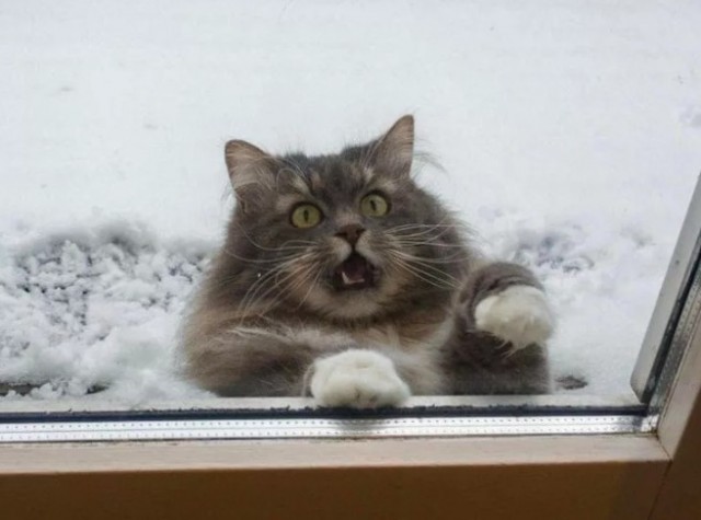 А у нас зима