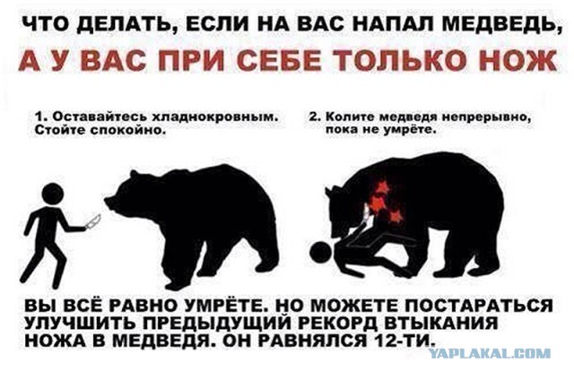Как выжить, выпрыгнув из самолета БЕЗ парашюта? Да легко!