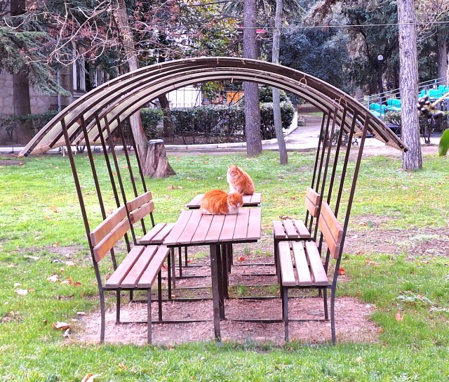 Зимний Крым