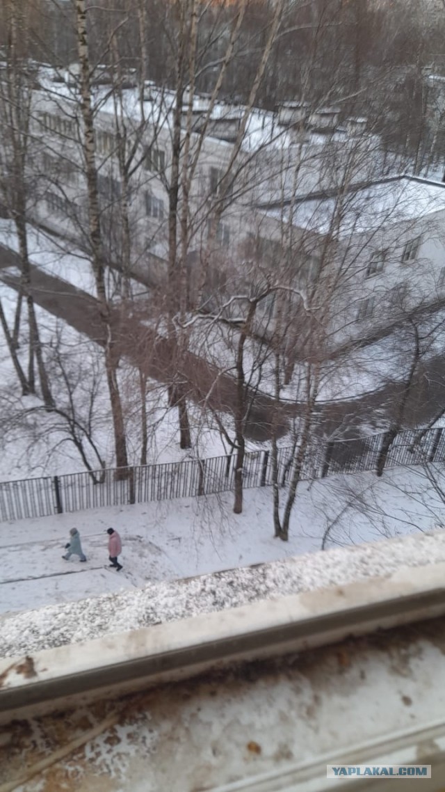 В Москву всё-таки завезли снег