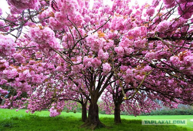 Весна придёт  - и деньги будут!