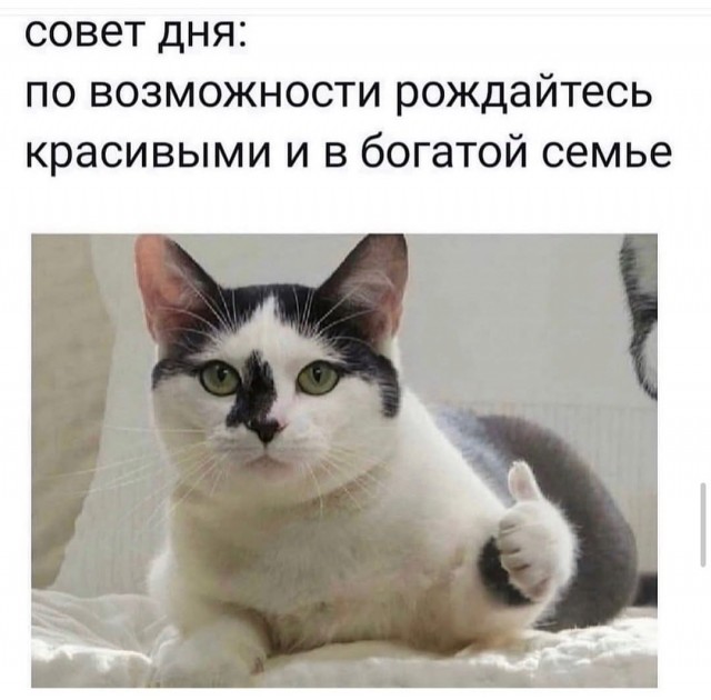 Работа в офисе делает несчастными и портит настроение россиян, — опрос