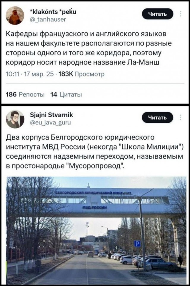 Так себе картинки 28.03.25