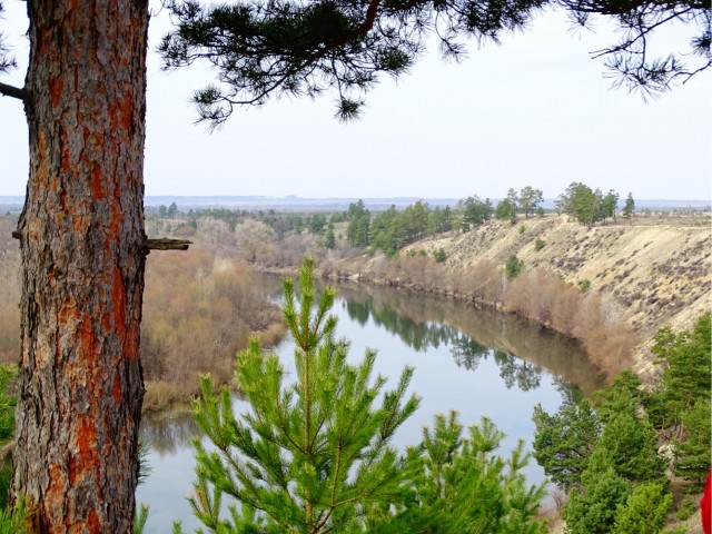 Разбавим политоту и жесть природой