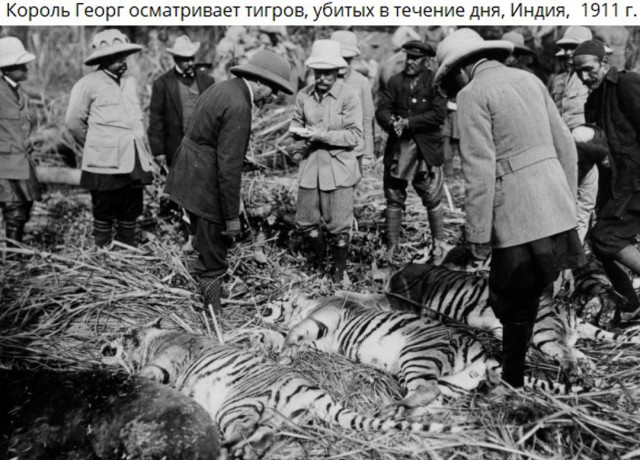 Редкие кадры и архивные снимки. 04.06.25