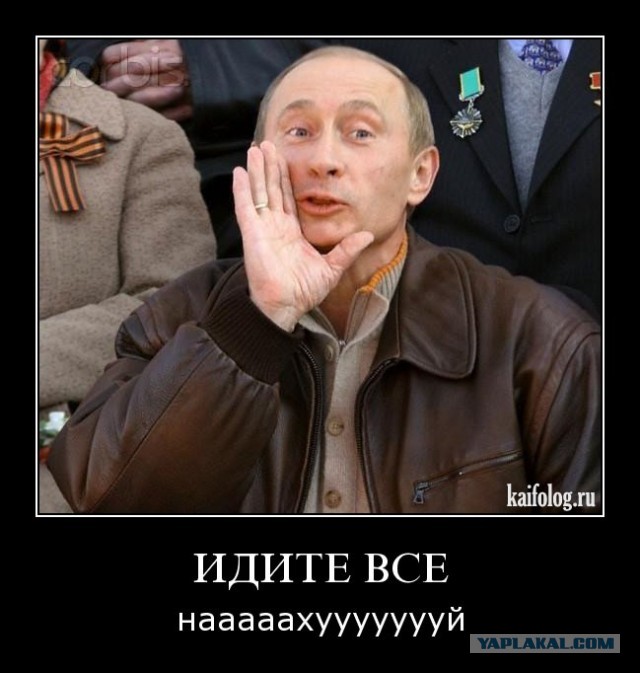 Раскопки архивов картинок.