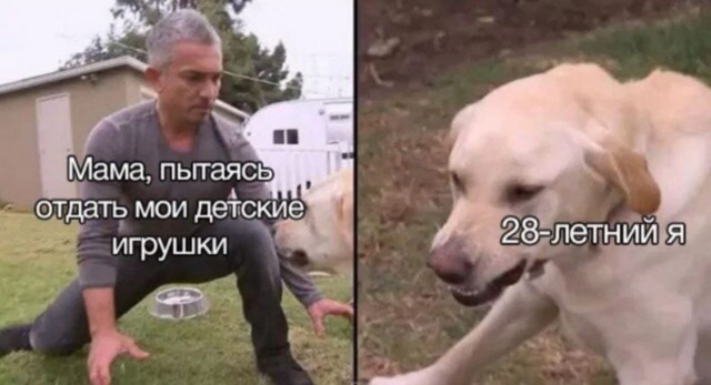 Картинки для деградации 3 (разной степени свежести)