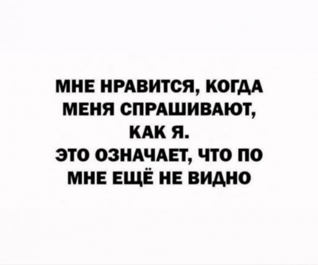 Веселое настроение в картинках (07.08.2025)