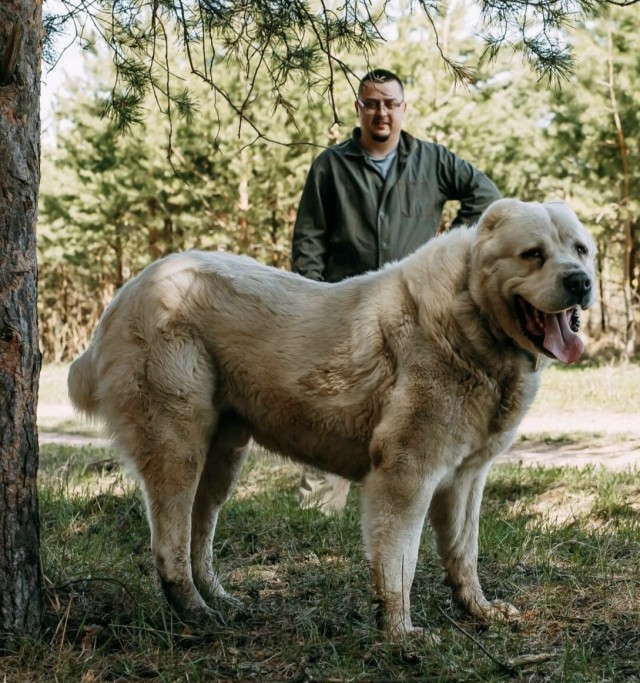 Пришел пëс