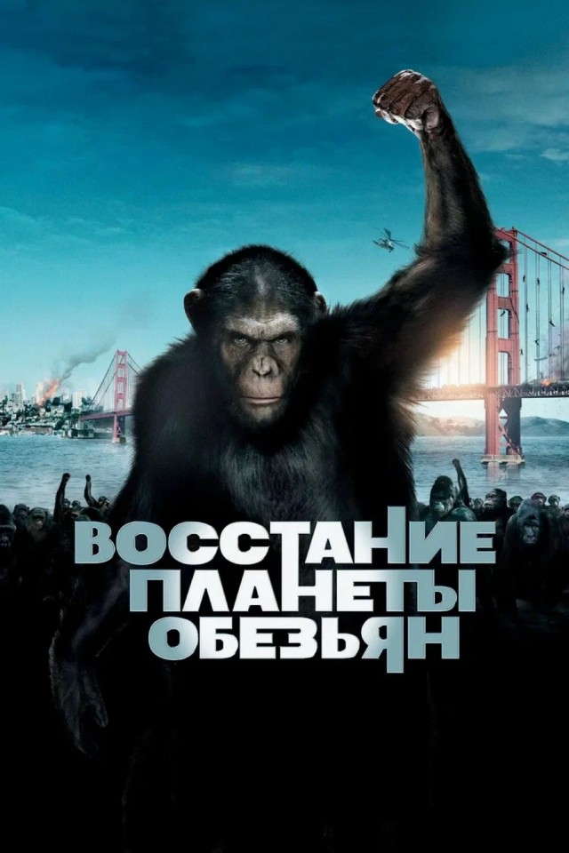 Мигранты, не сдавайтесь!