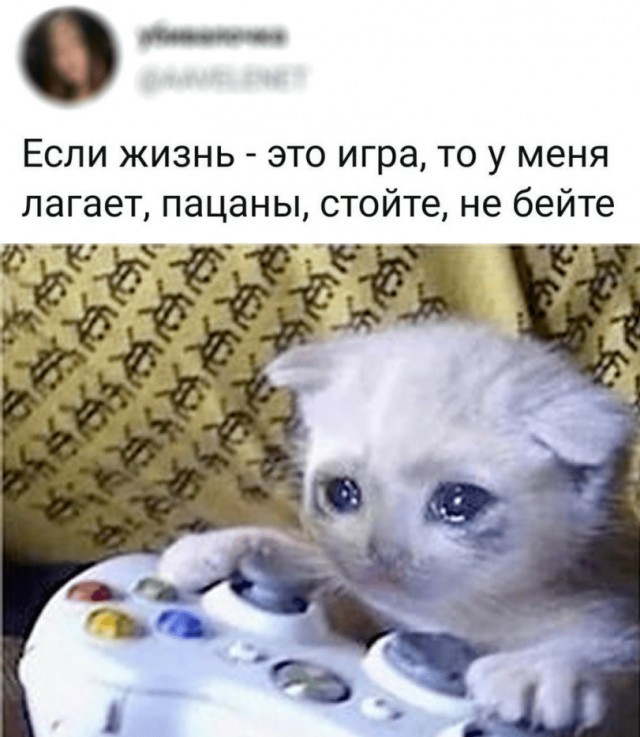 Так себе картинки 07.10.25