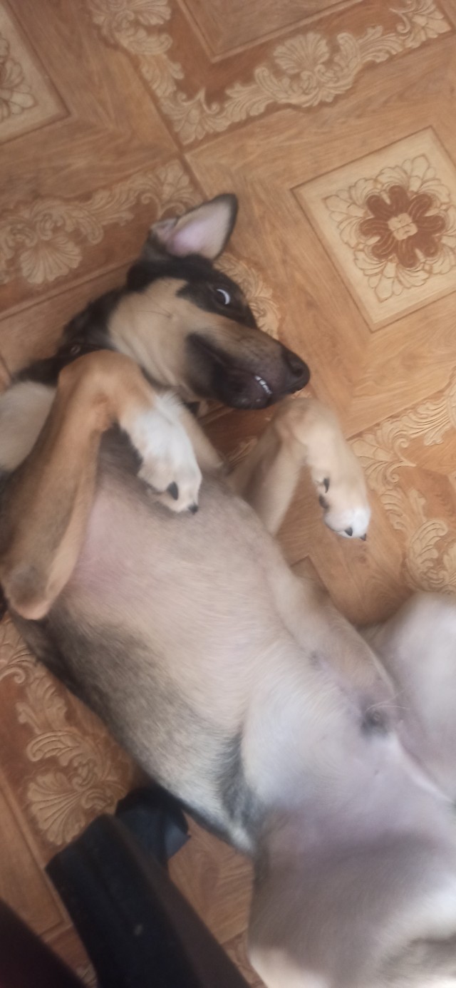 А сейчас важное сообщение